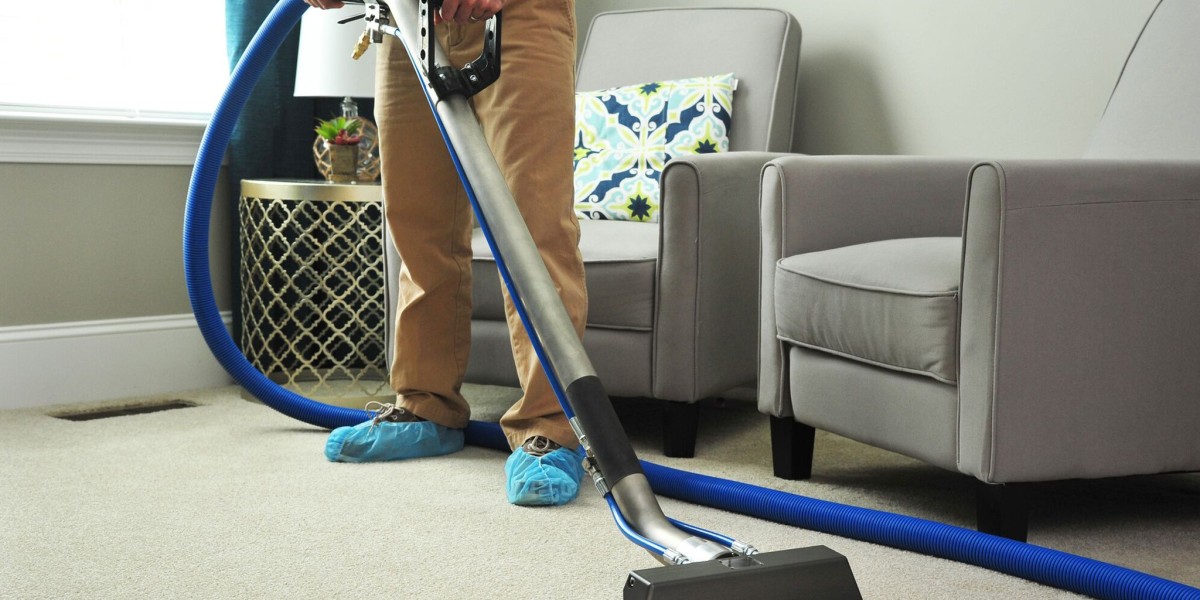Revitalize Your Home: The Importance of Professional Carpet Cleaning