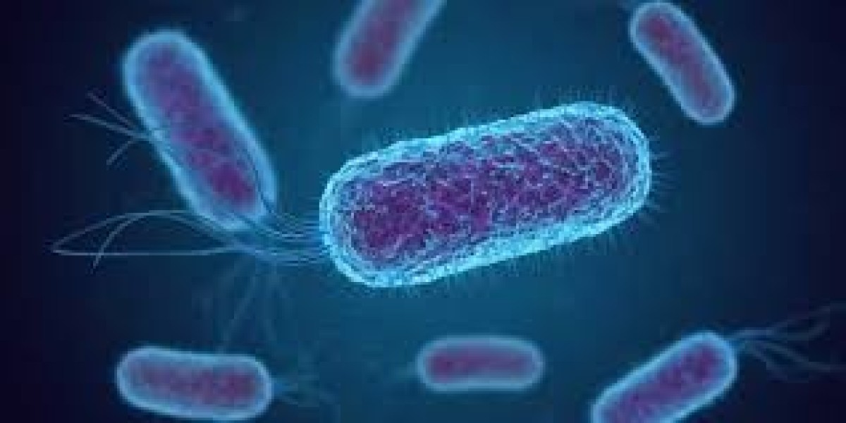 Bacillus Coagulans Market Consumer Trends Driving Global Product Innovation and Marketing