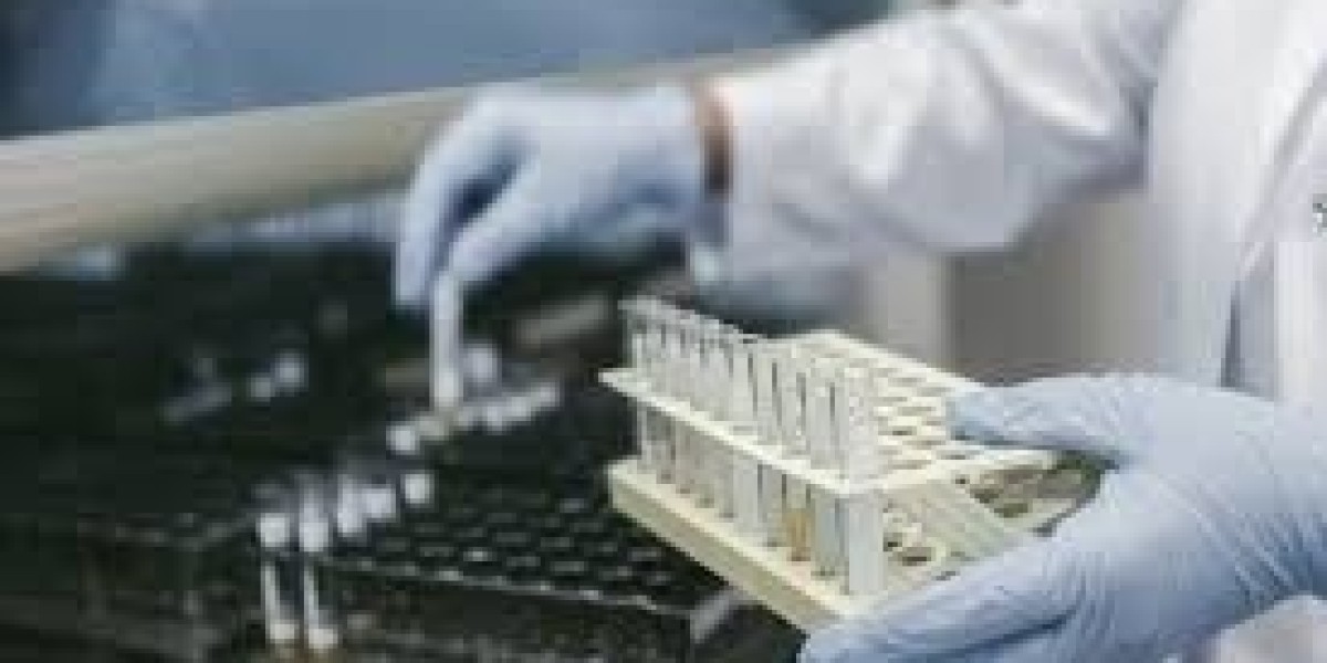 Global Veterinary Reference Laboratory Market Outlook (2023–2032): Size, Share & Forecast