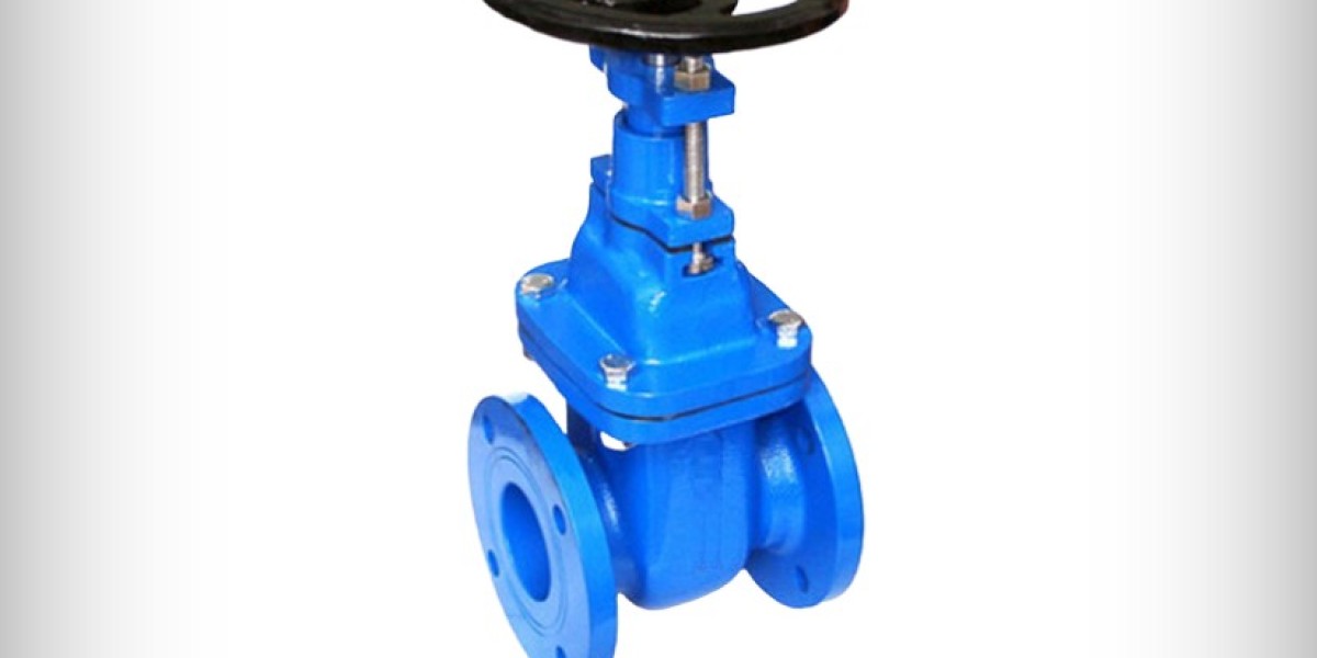 CI Sluice Valve Flanged Manufacturers Ahmedabad, India – MNC VALVES