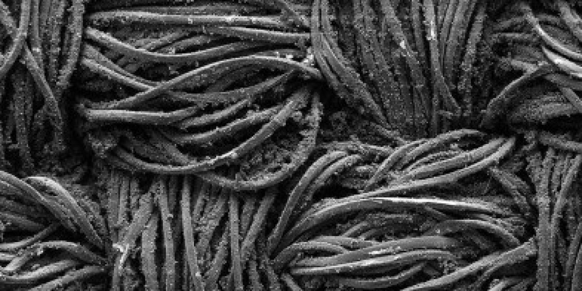 Conductive Polymer Coating Market Forecast Driven by Innovation and Expanding End-Use Applications