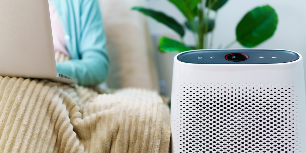 Air Purifier Market Potential Expands Amid Technological Advancements and Urban Lifestyle Demands