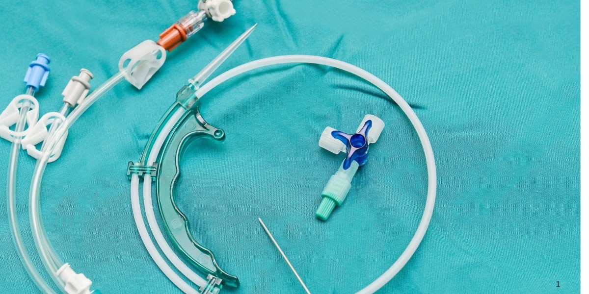 Global Catheter Market to Surpass US$ 51.65 Billion by 2033, Driven by Technological Innovations and Aging Population