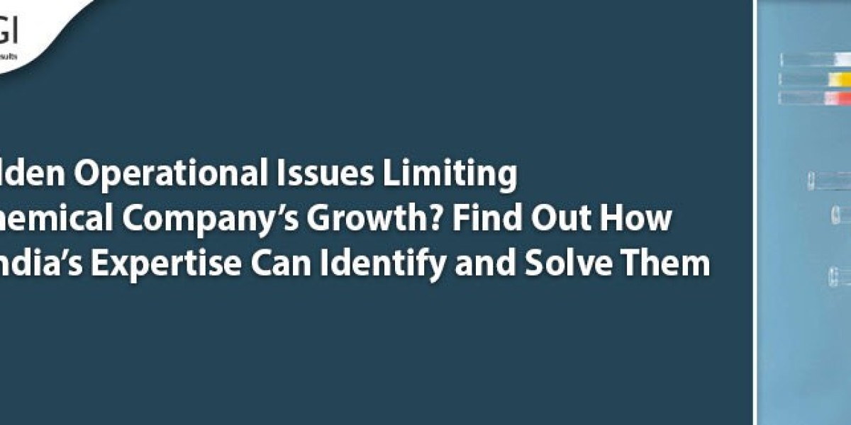 Are Hidden Operational Issues Limiting Your Chemical Company’s Growth? Find Out How BMGI India’s Expertise Can Identify 