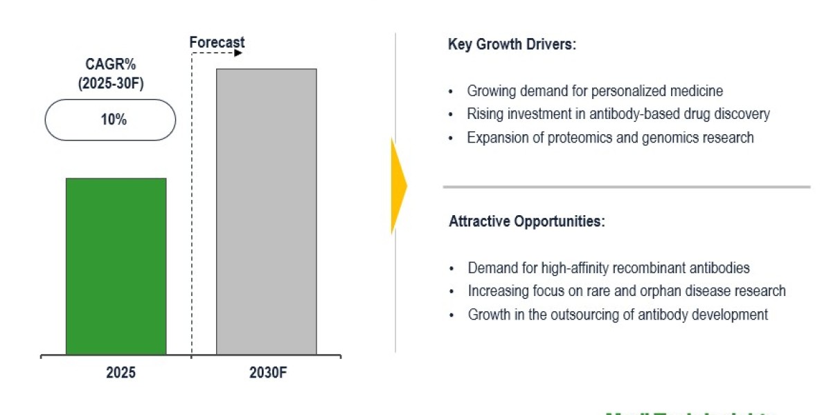 Global Custom Antibody Market to achieve 10% CAGR as therapeutic antibody demand grows 2030