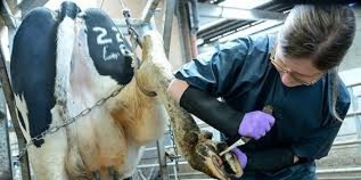 Animal Parasiticides Market trends focusing on natural alternatives and chemical innovations in animal care