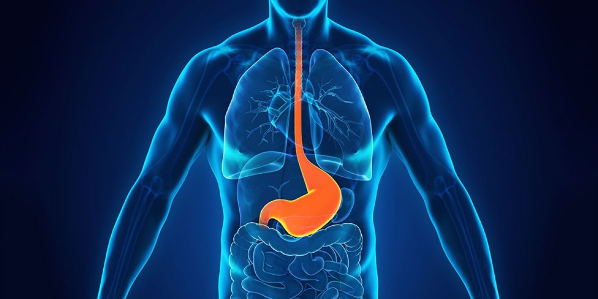 Best Gastroenterologist in Bangalore: Expert Digestive Care by Dr. Bhushan Chittawadagi
