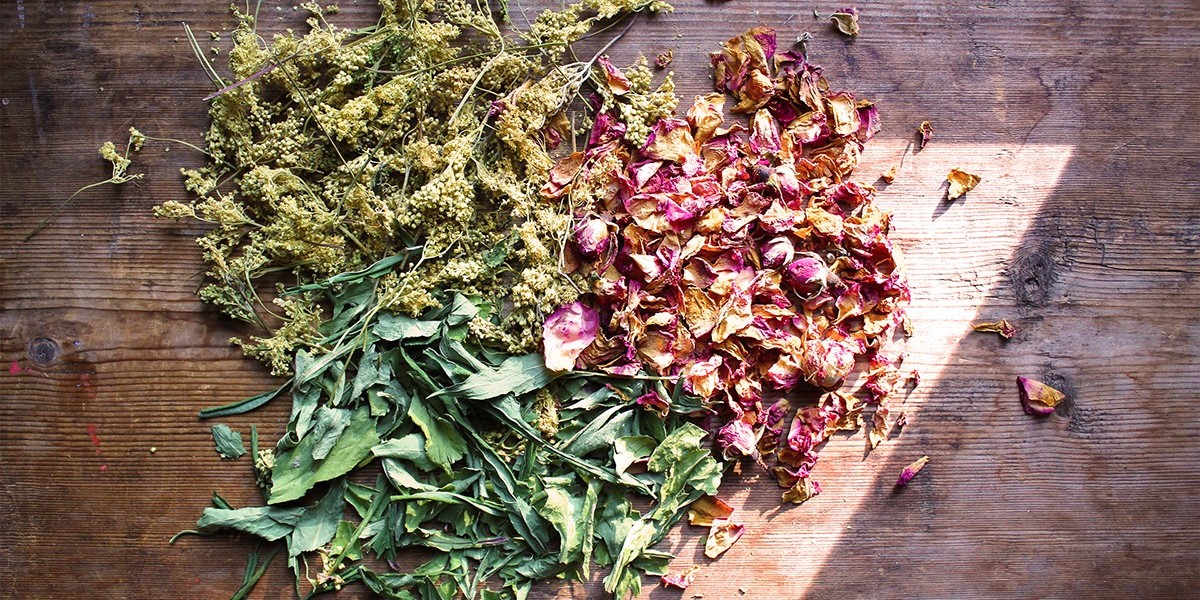 Rising Demand for Natural Seasonings Driving the Dried Herbs Market