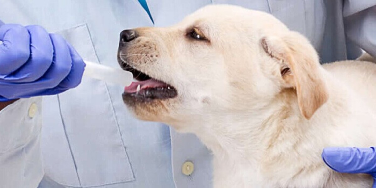 Technological Innovations Revolutionizing the Companion Animal Drugs Market