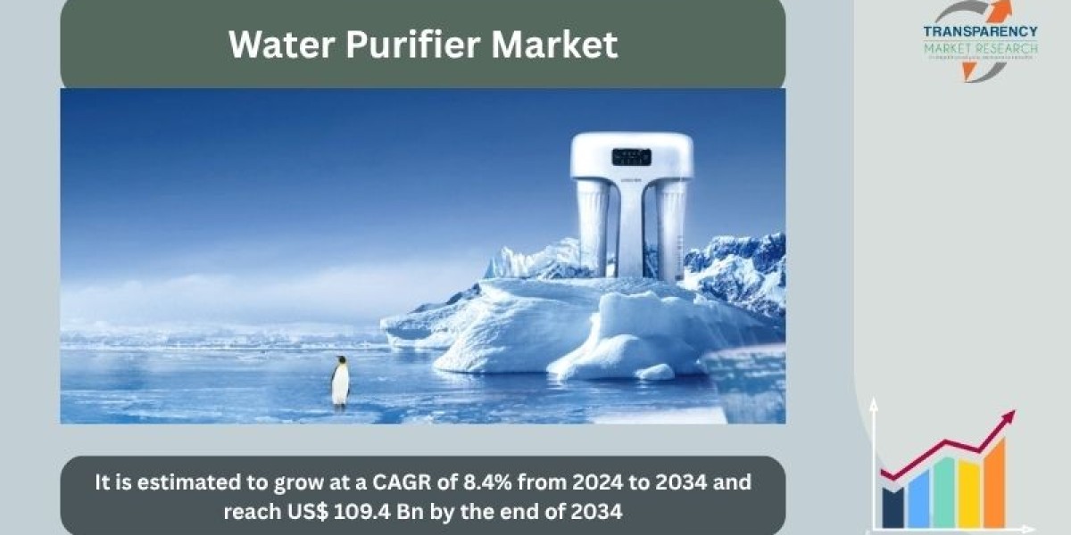 Water Purifier Market Outlook: Innovations and Consumer Demand