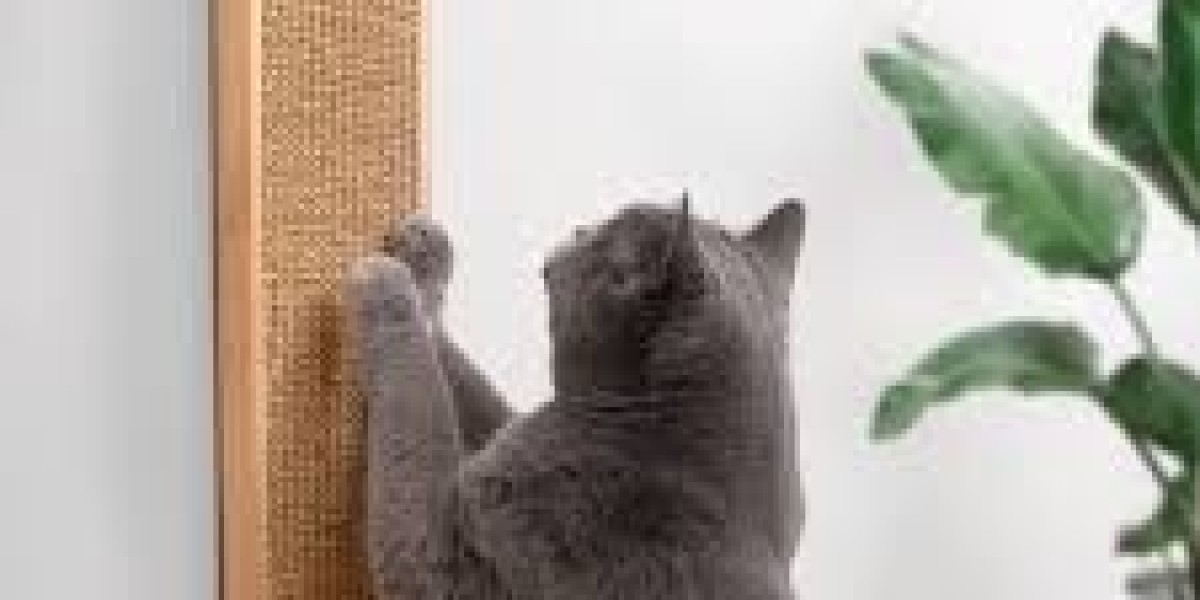 Best Cat Scratcher