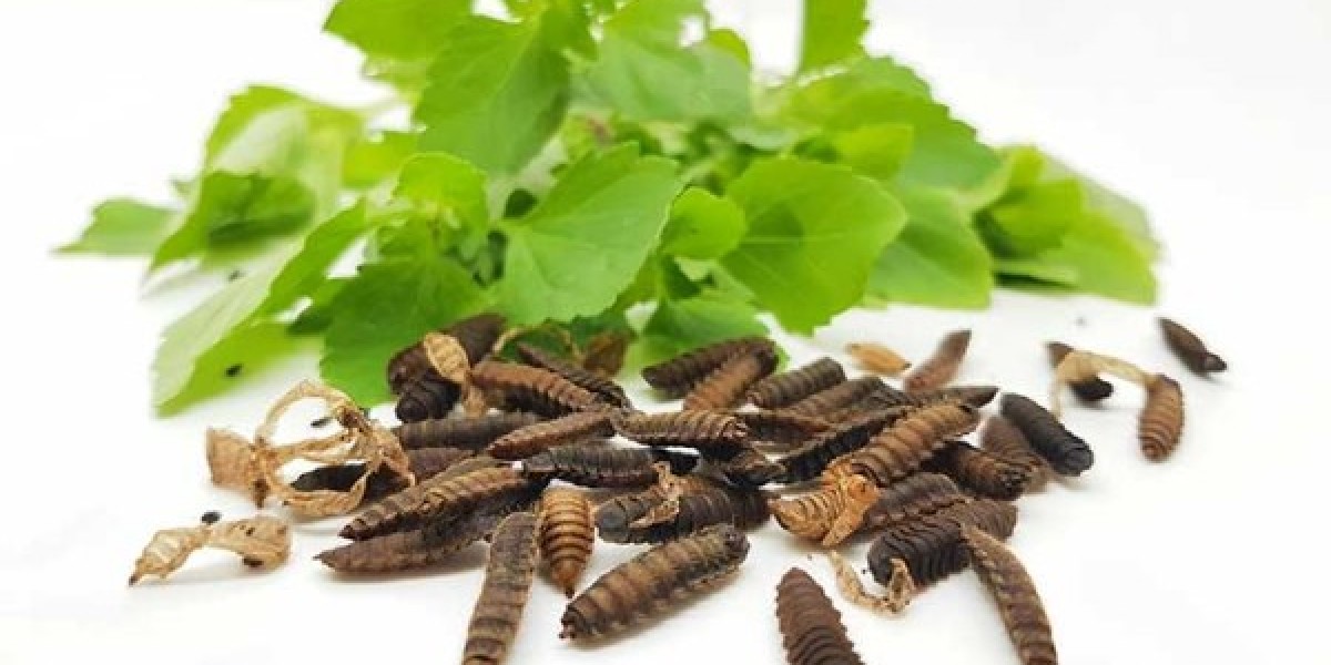 Insect Protein Market Size, Trends, and Growth Forecast 2025-2032