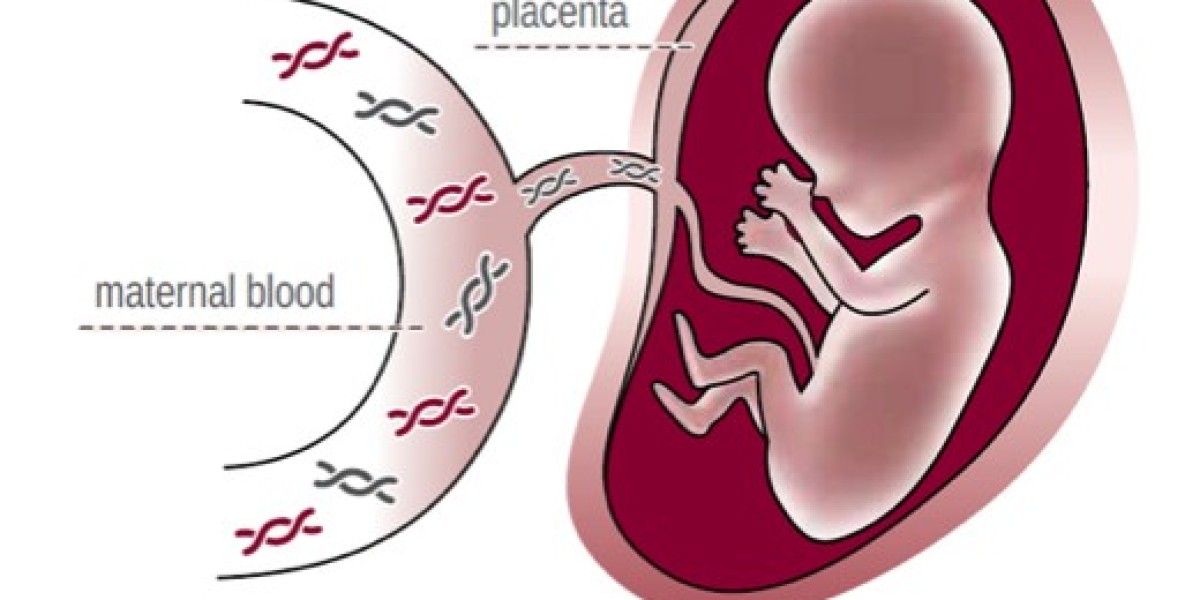 Non-Invasive Prenatal Testing Market Share, Size, Trends, Growth Factors, and Forecast 2025-2033