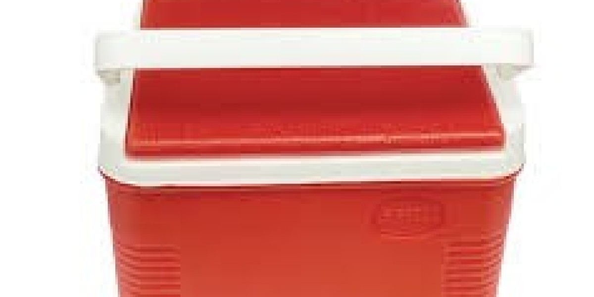Ice Boxes Market Portability Trends