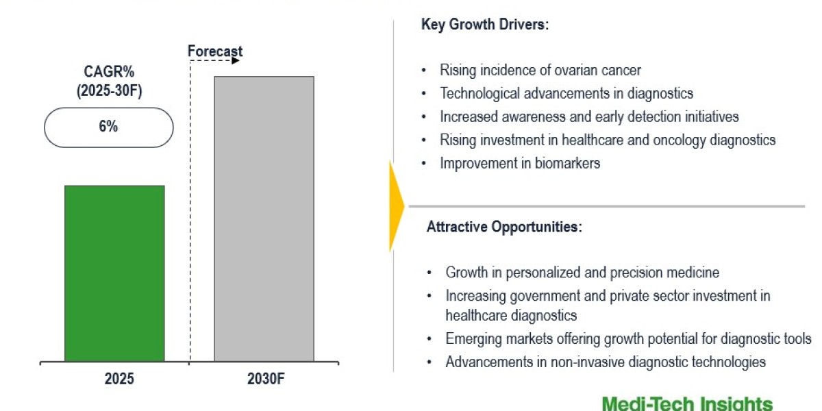 Global Ovarian Cancer Diagnostics Market to Hold 6% CAGR, Fueled by Machine Learning Use 2030