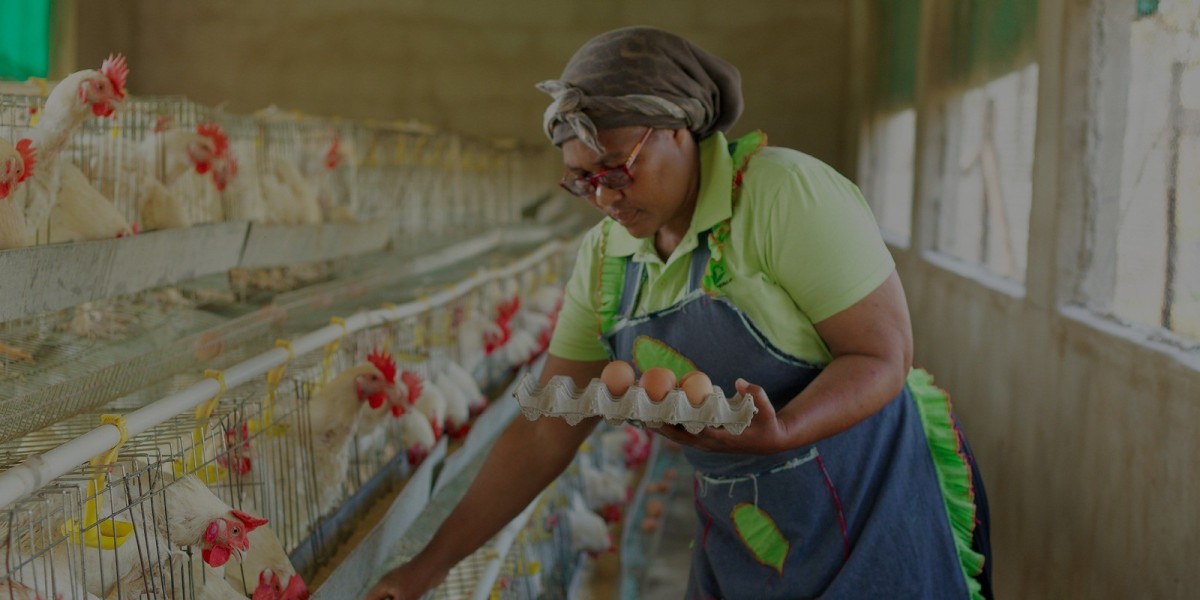 Women Empowerment and Feminist Leadership in Rural South Africa