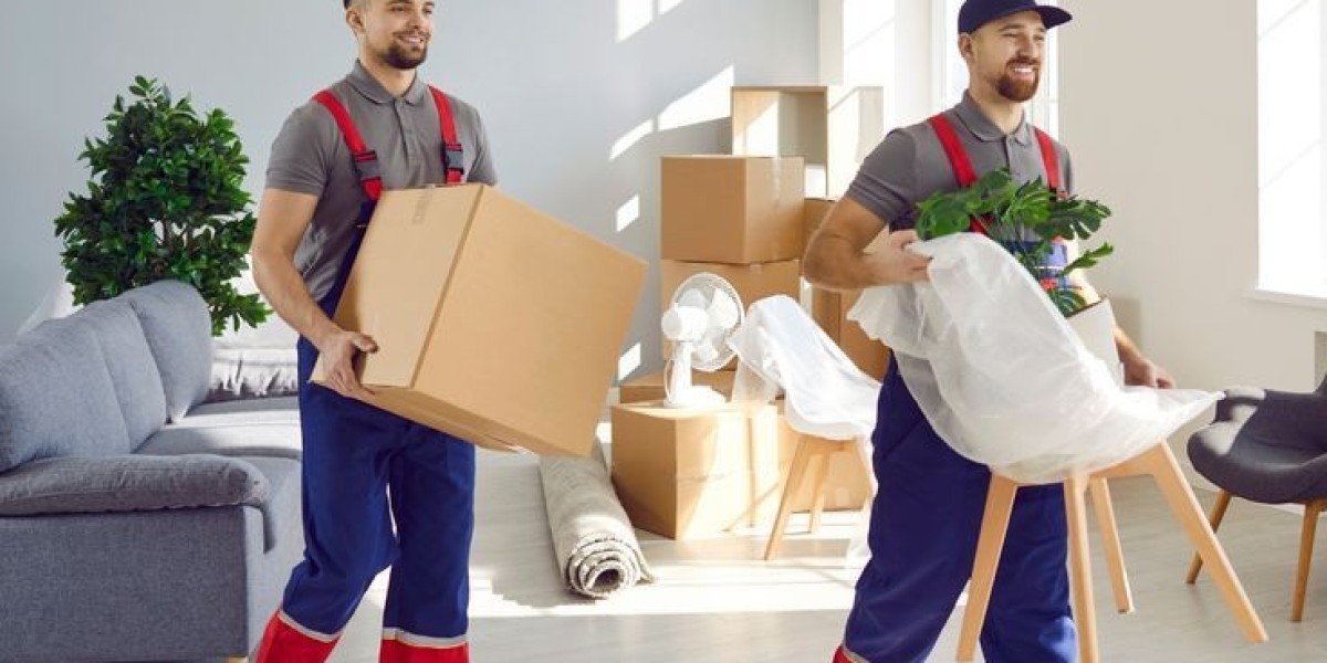 Professional DC Movers Streamline Every Stage of Moving