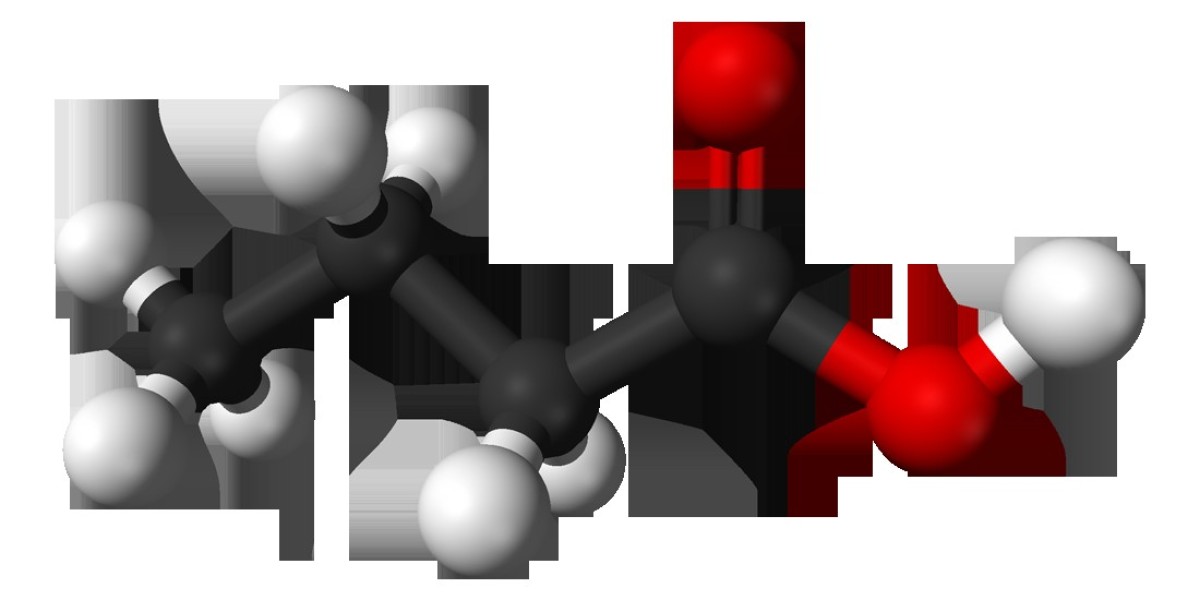 Butyric Acid Market Research Reveals Growth Potential Amid Industry-Specific Innovations and Consumer Health Trends