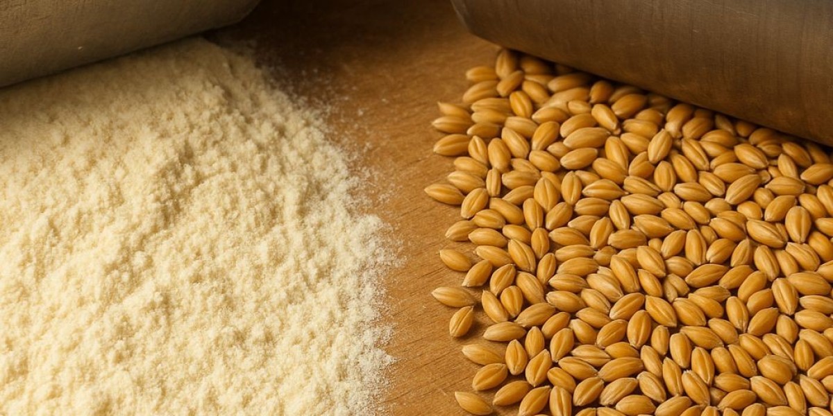Understanding the Classification of Maize: A Complete Guide