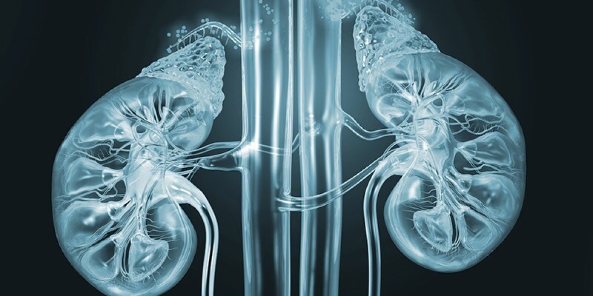 End-Stage Renal Disease (ESRD) Treatment Market: Size, Trends, and Growth Outlook