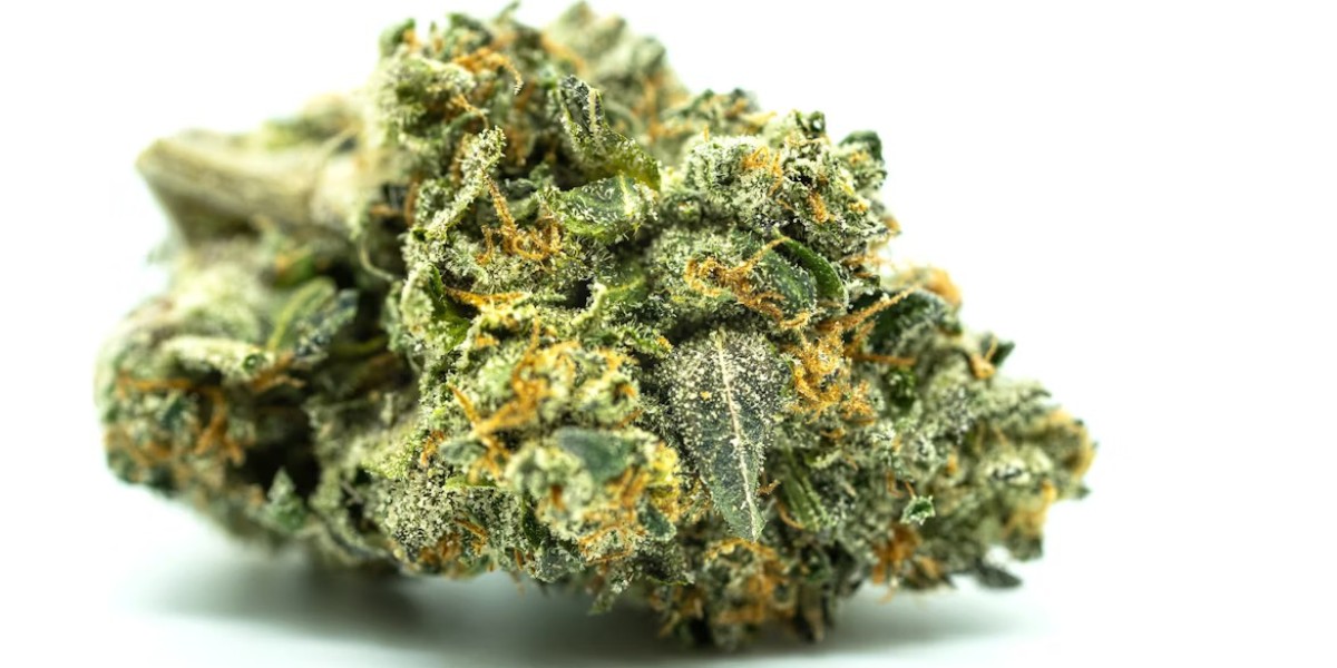 Cannabis 21: The Cannabis Store That Defines Aberdeen Dispensaries