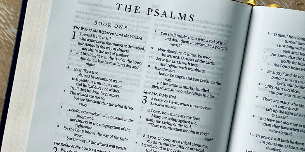 What Literary Devices Appear in Psalms?