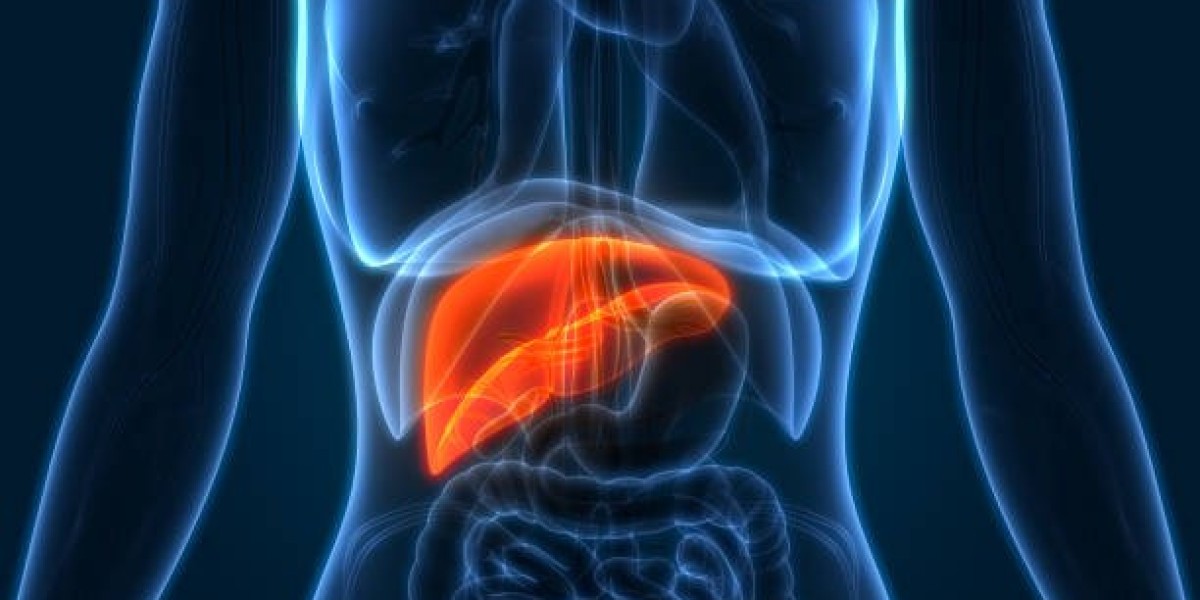Liver Cancer Diagnostics Market Insights: Trends, Growth & Future Outlook