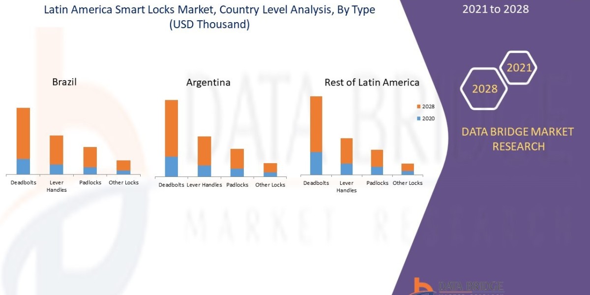 Latin America Smart Lock Market: Growth Opportunities and Forecast 2025 –2032