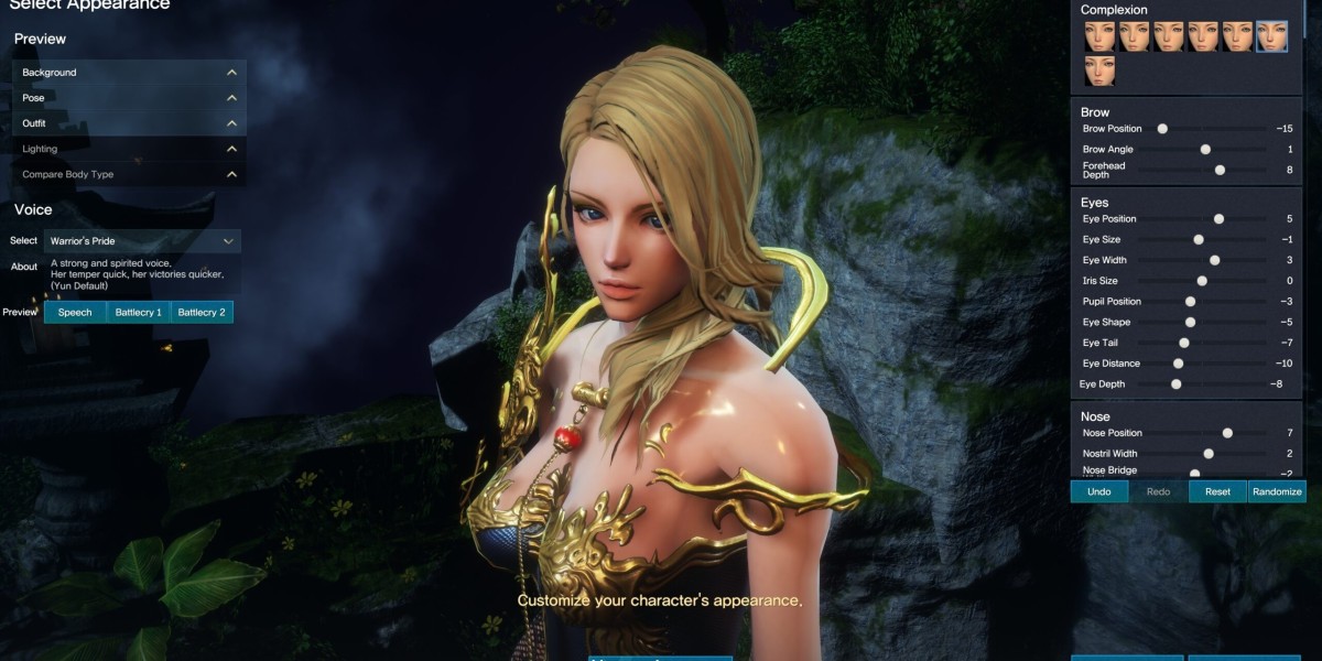 MMOexp BnS NEO: A Canvas for Personal Identity