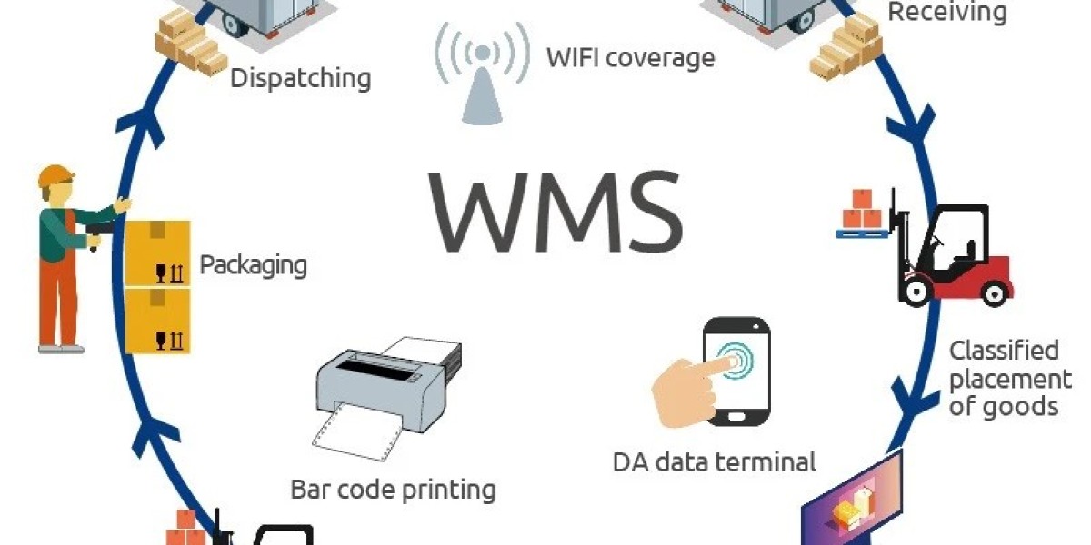 Top Examples of Warehouse Management Systems (WMS)
