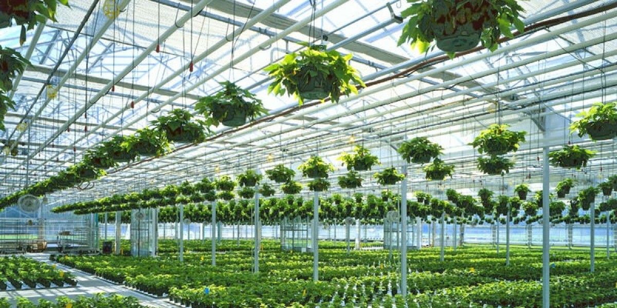 Commercial Greenhouse Market Set to Expand at 11.9% CAGR, Hitting USD 137 Billion by 2034