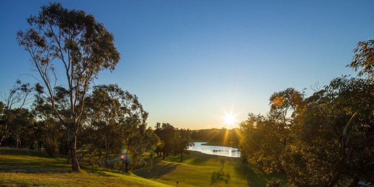 What Makes Golf the Ultimate Escape for Mental Wellness and Social Connection in Sydney?