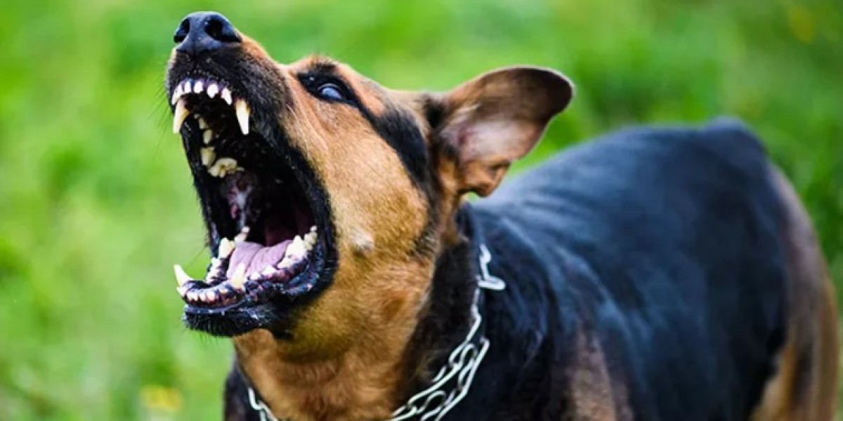 What to Do Immediately After a Dog Bite Accident