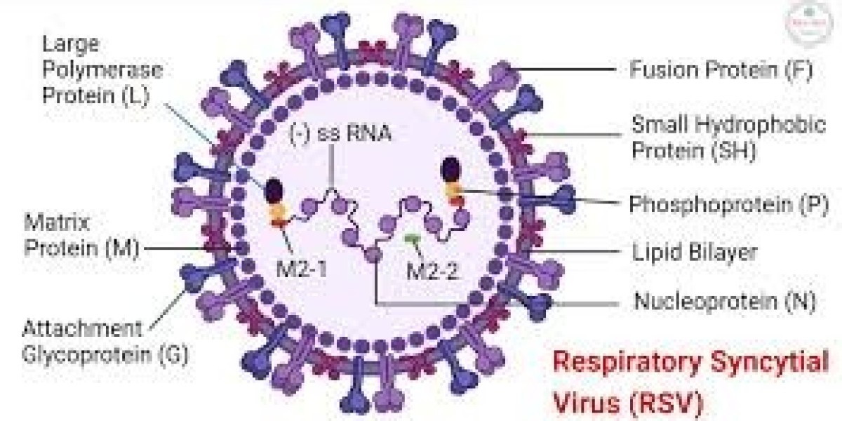 Respiratory Syncytial Virus (RSV) Diagnostics Market Shifts Towards Point-of-Care Solutions for Faster Results