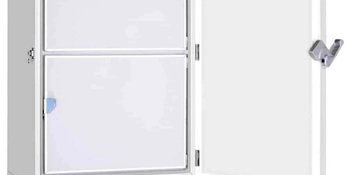 Ultra-low Temperature Freezer Market Future Outlook Shaped by Innovation, Sustainability, and Expanding Global Research 