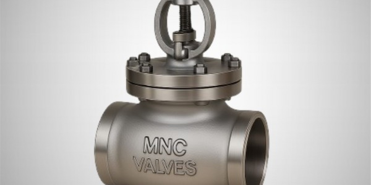 CS Globe Valve Flanged Manufacturer Ahmedabad, India | MNC VALVES