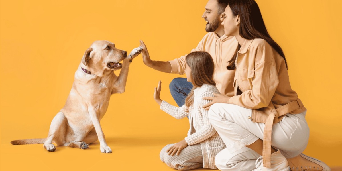 Best Quirky Gifts Australia: Luxury Meets Fun in Gifting