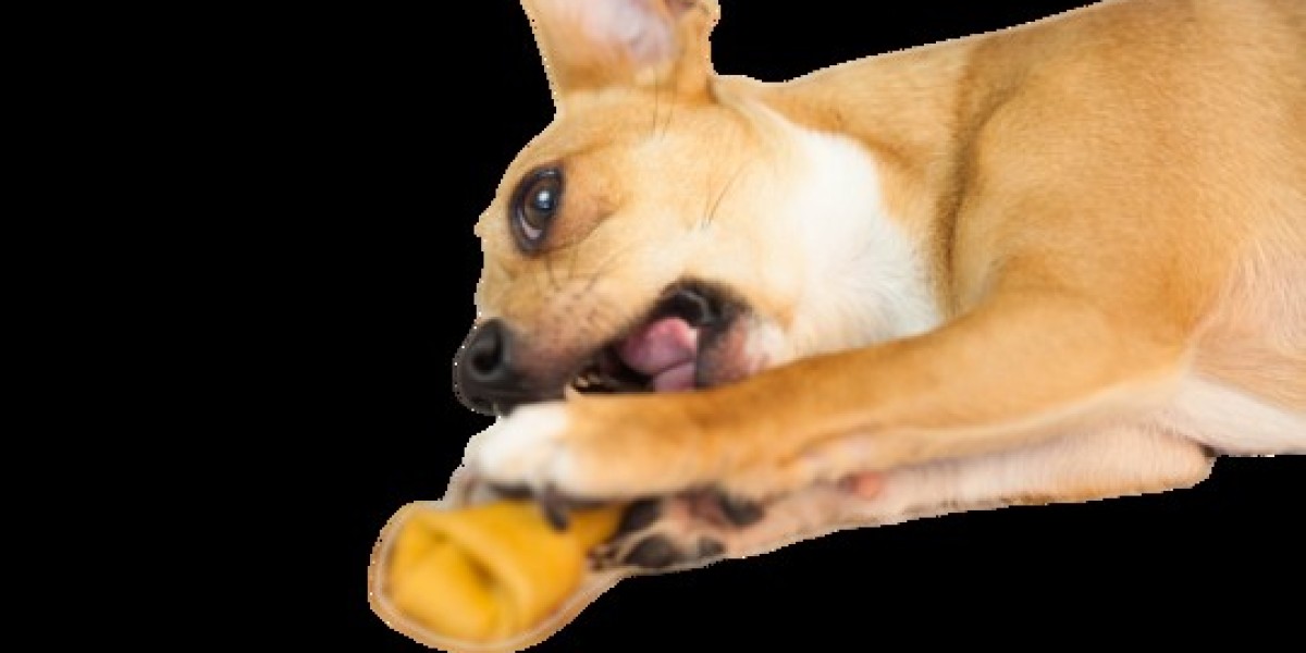 Best Chewable Bones for Dogs – Safe & Healthy Options for Every Breed