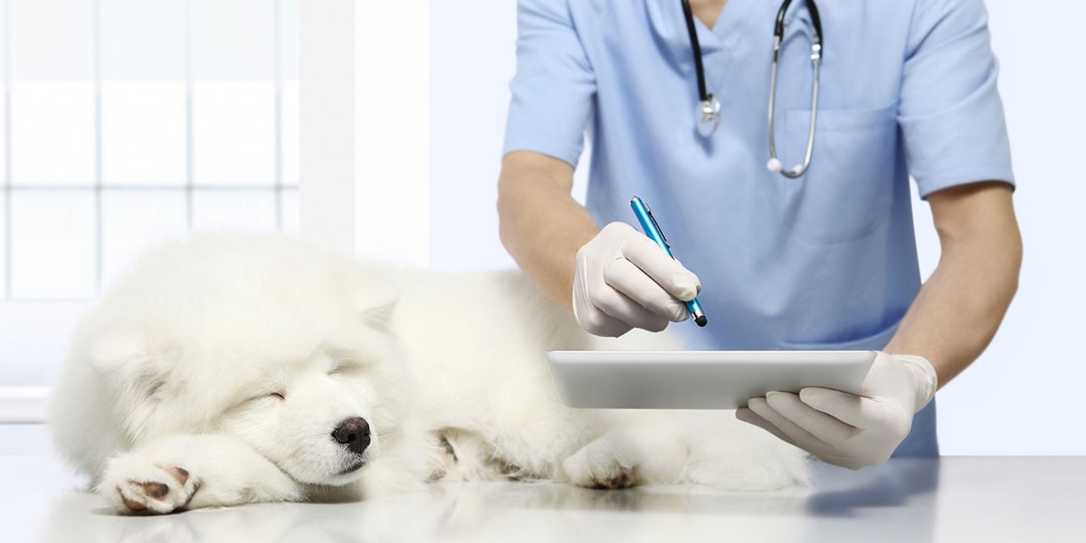 Veterinary Diagnostics Market Strategies: Mergers, Partnerships, and Global Reach