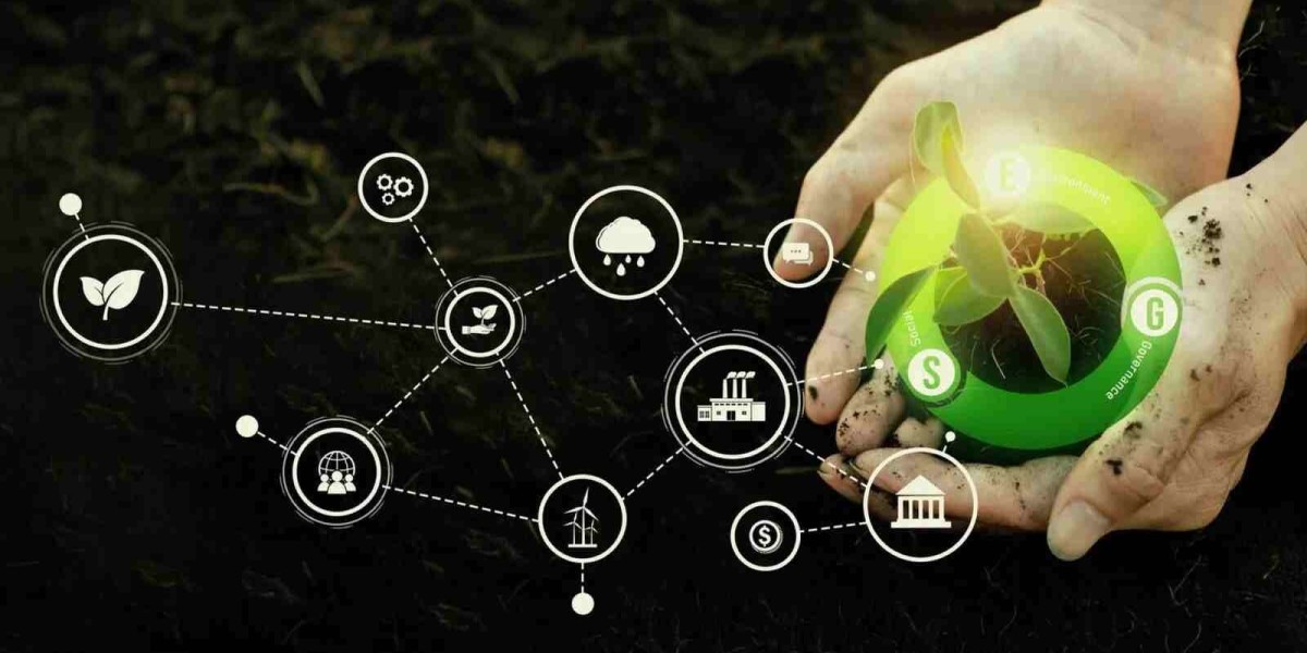 The Economic Value of Biodiversity and Ecosystem Services in Modern Economies