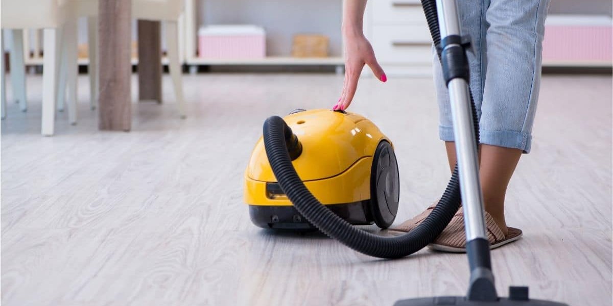 Household Vacuum Cleaner Market Dynamics: Trends and Opportunities