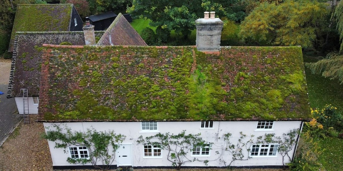 Effective Moss Removal from Block Paving | Professional Moss Removal Services