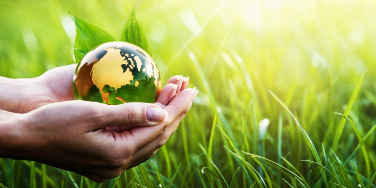 Proyectos Sustentables en México: Educación y Acción para un Impacto Real