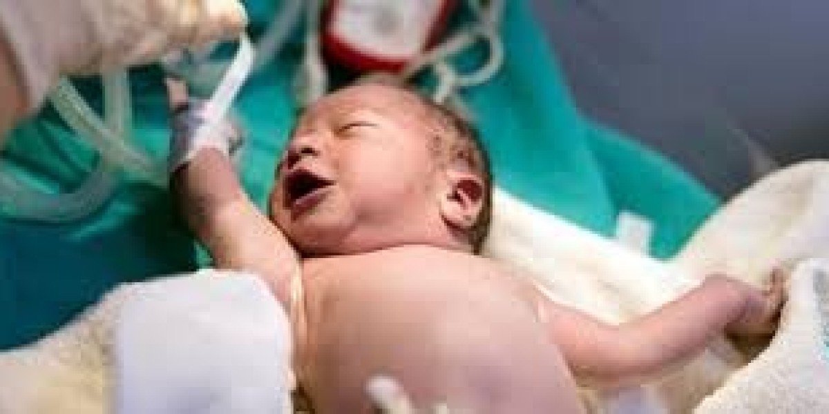 Global Newborn Screening Market to Witness Transformative Growth Forecast 2023 - 2032