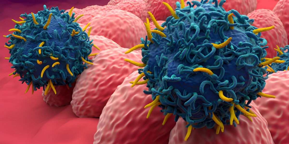 Innovations and Prospects in CAR-T Cell Therapy