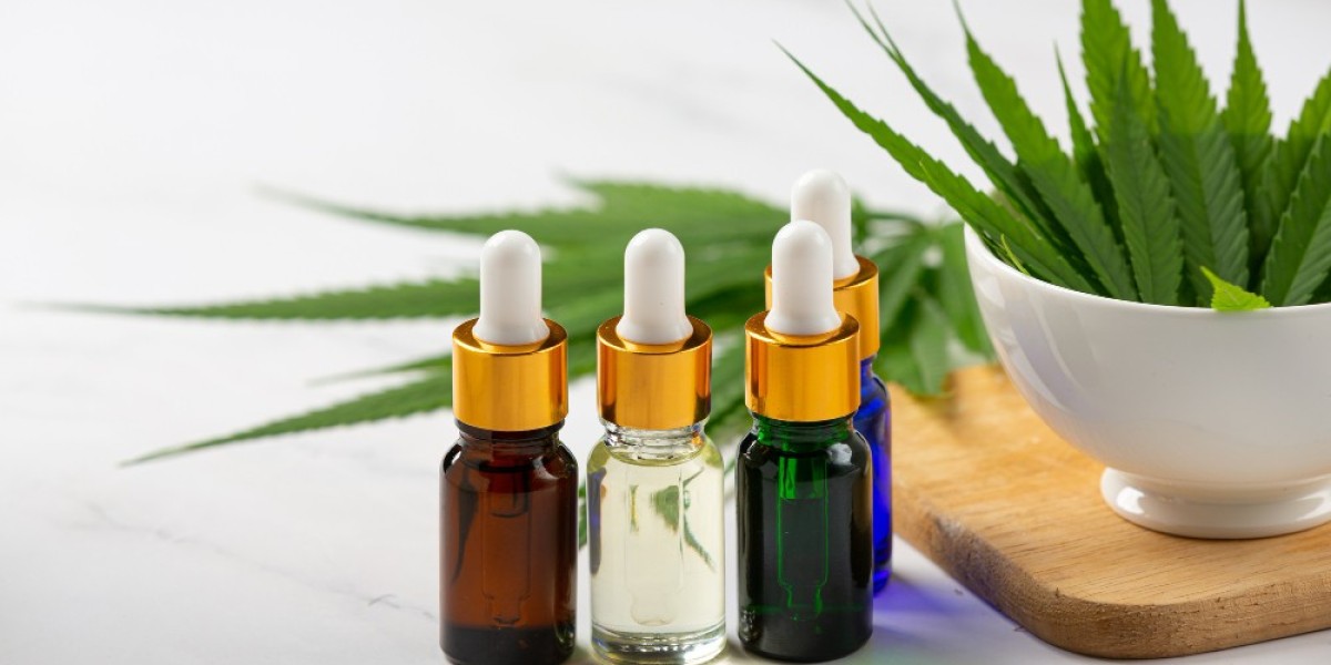 A Balanced Guide to Exploring Cannabinoid Wellness