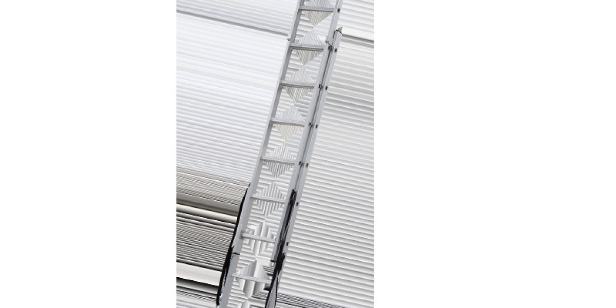Understanding the Economic Extension Ladder Framework