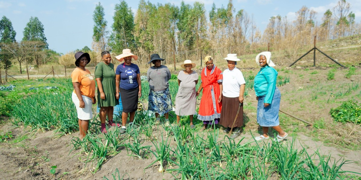 WDB Trust: Empowering Women, Inspired by Zanele Mbeki