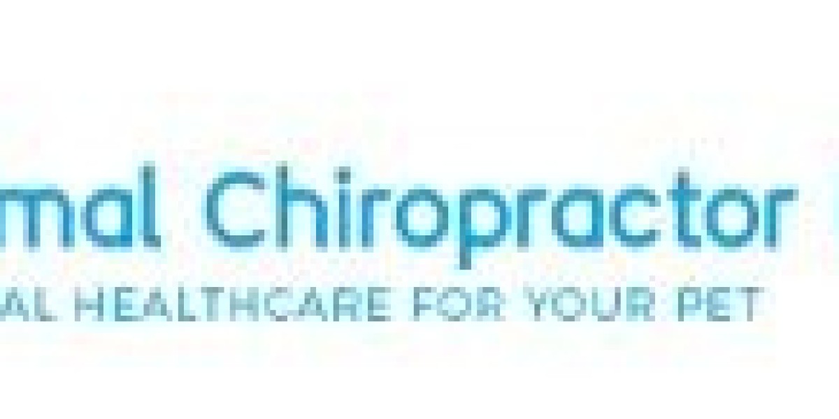 Top 5 Benefits of Veterinary Chiropractic for Dogs and Cats