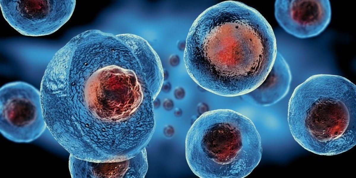 Japan’s Regenerative Medicine Market Outlook to 2035: Size, Share & Growth Projections